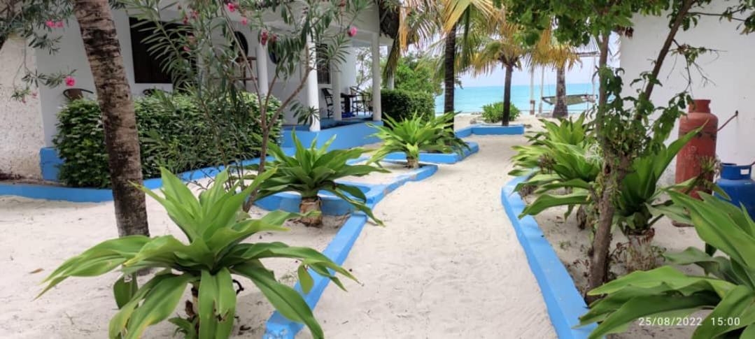 Hotel Oasis