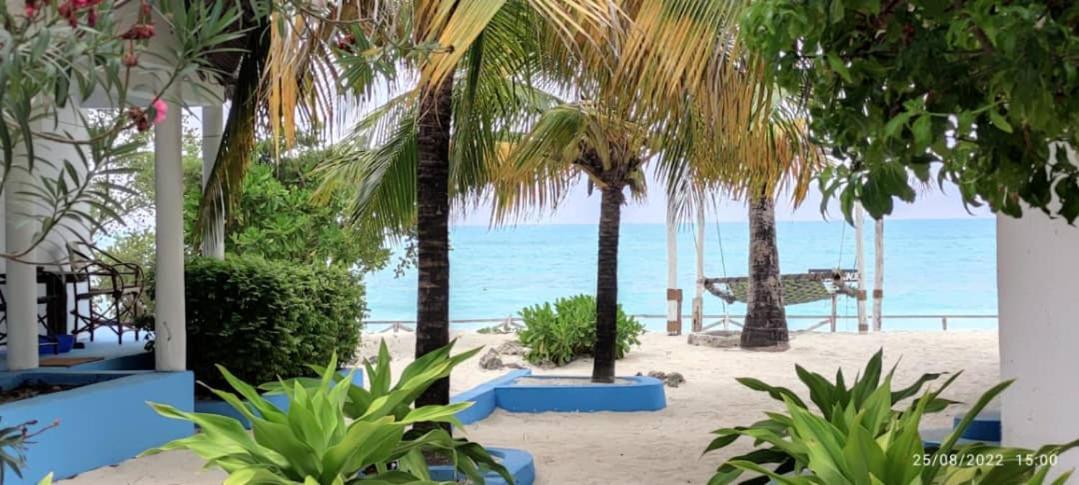 Hotel Oasis 3*