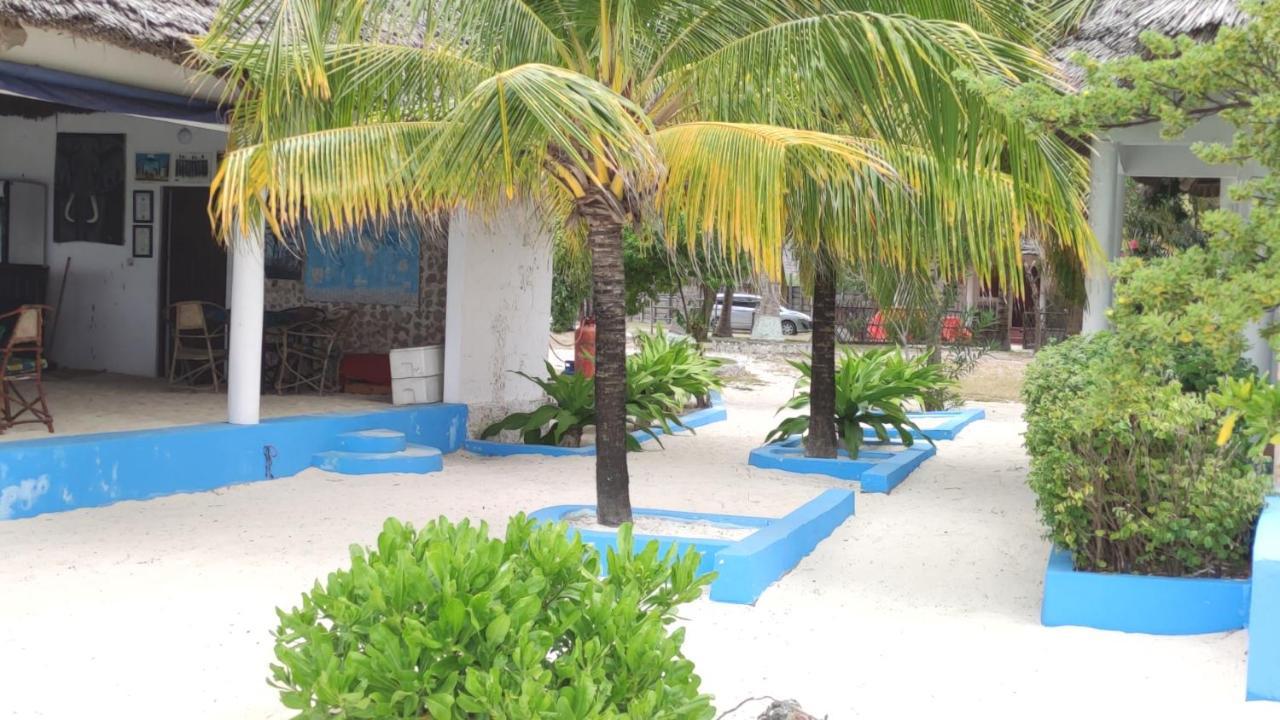 Oasis