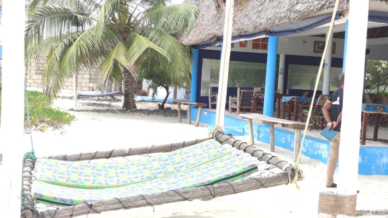 Oasis