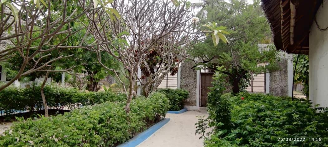 Oasis 3* Jambiani (Zanzibar)