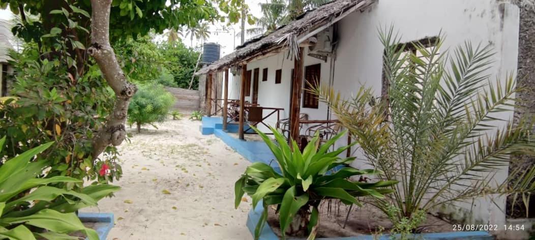 Oasis 3*