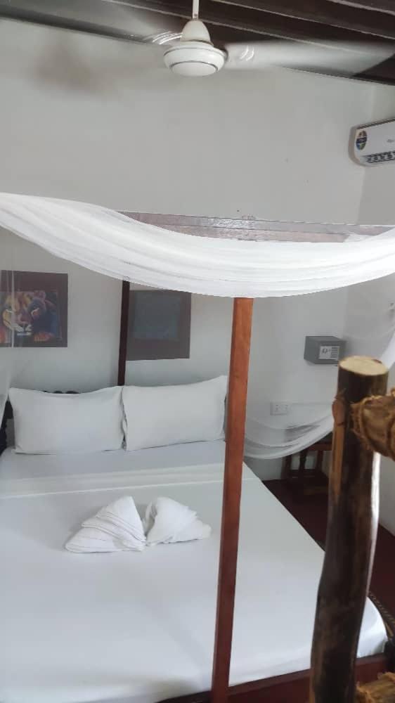 Oasis 3*