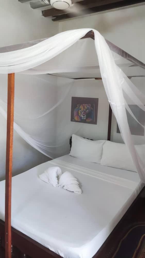 Oasis 3*