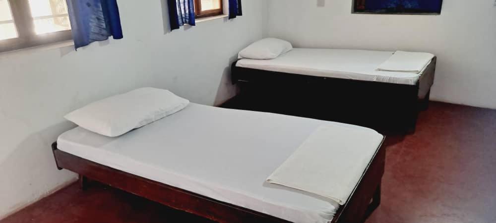 Hotel Oasis 3*