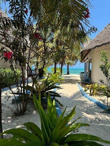 Oasis 3*